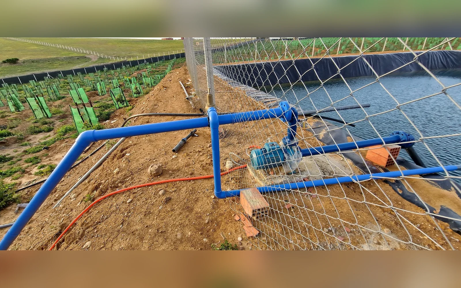 Réalisation irrigation goutte-à-goutte
