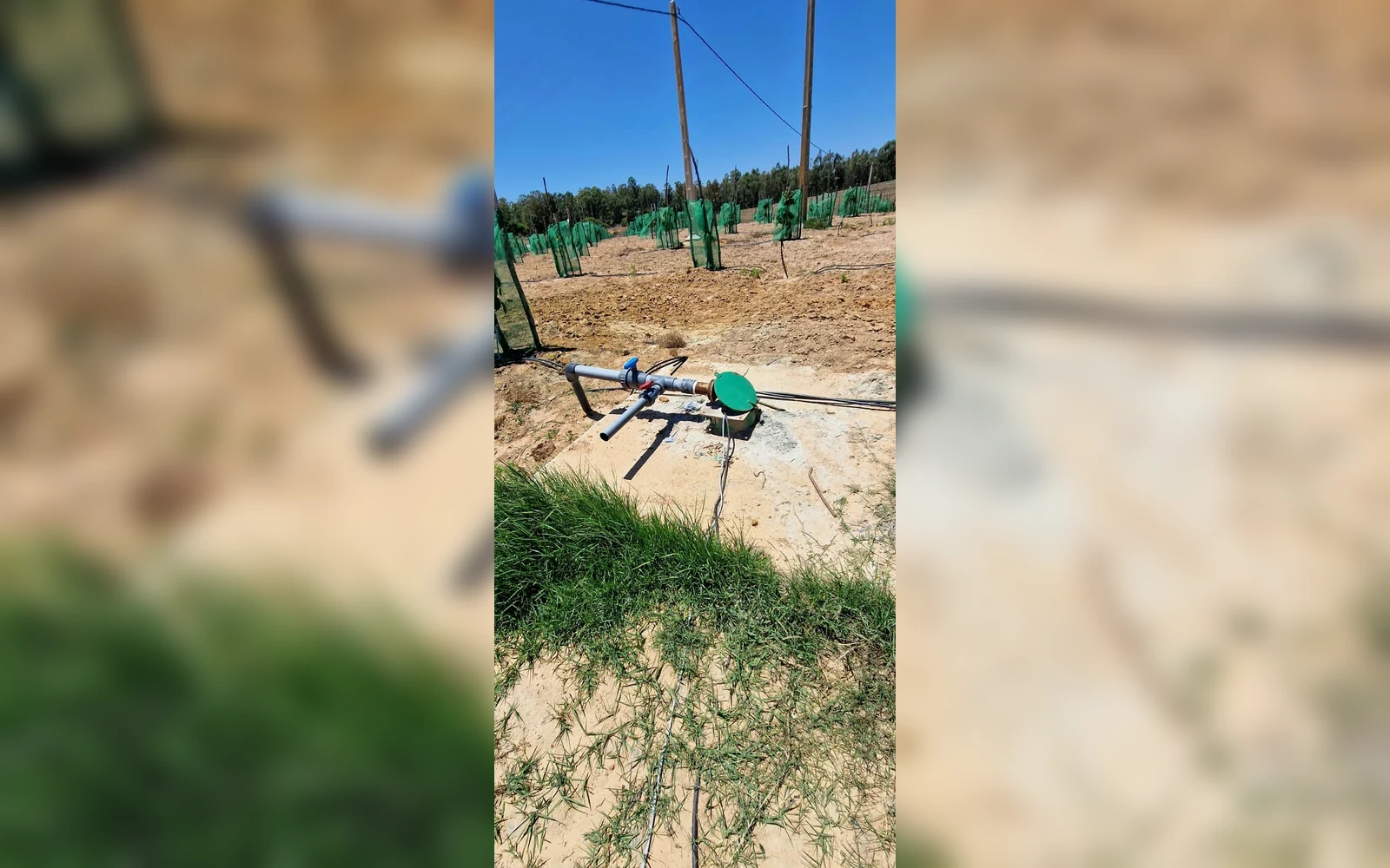 Réalisation irrigation goutte-à-goutte