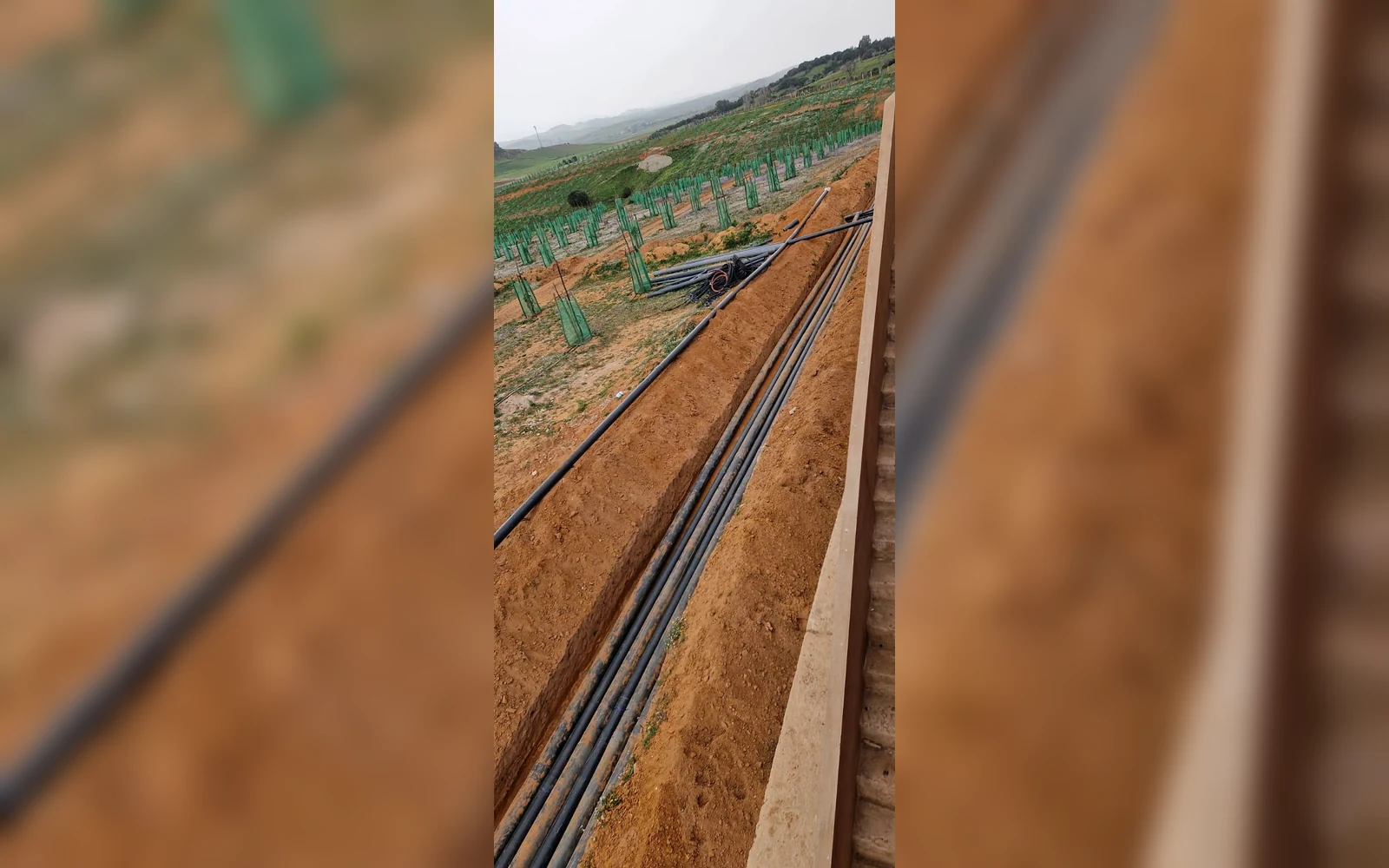 Réalisation irrigation goutte-à-goutte