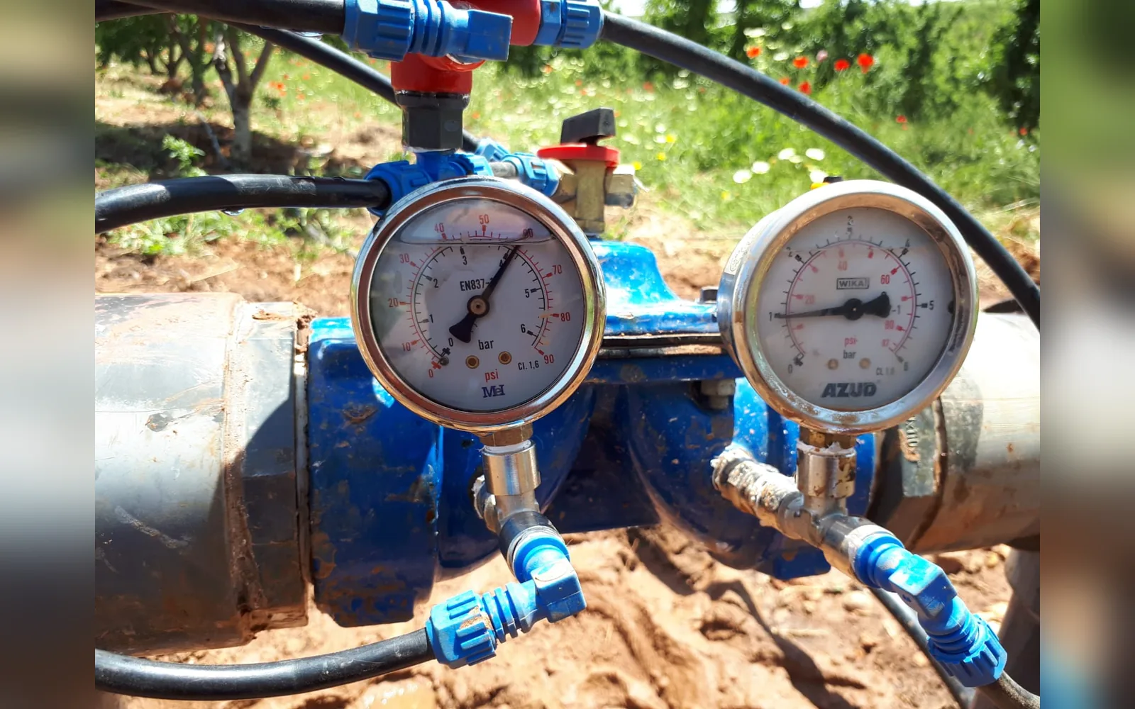 Réalisation irrigation goutte-à-goutte